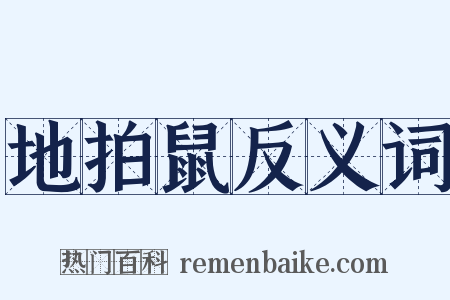 地拍鼠反义词是什么意思的图片